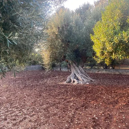 בית נופש La Casa Di Lilly