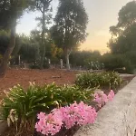 Dom wakacyjny La Casa Di Lilly Polignano a Mare