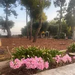Holiday home La Casa Di Lilly *